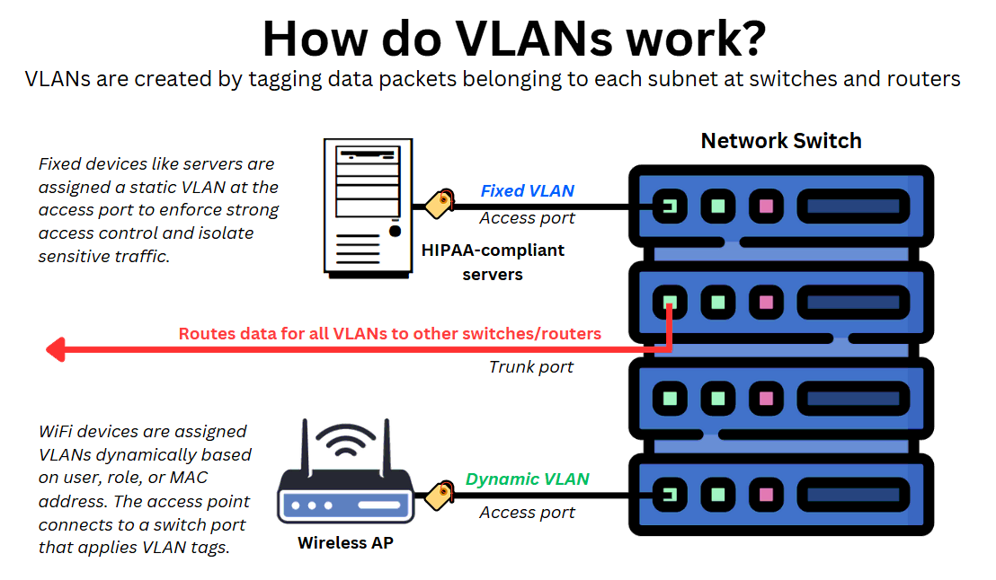 Diagram explaining how VLANs work with fixed and dynamic VLAN examples using servers and wireless access points connected to a network switch.