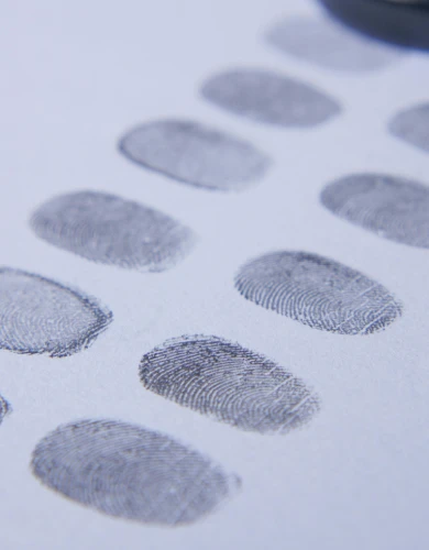 Fingerprints to represent graphically Digital Identity Security