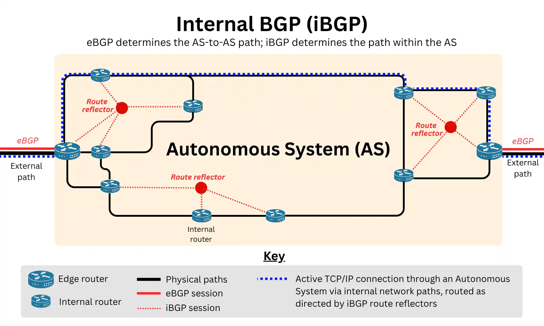 Diagram showing how iBGP uses route reflectors to distribute routing information across an Autonomous System's internal infrastructure.