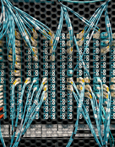 Network for Netomnia