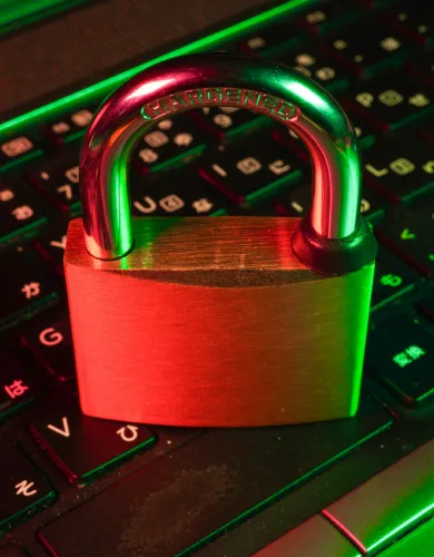 Security Service Edge Representation