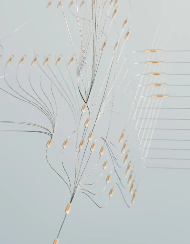 network topology map