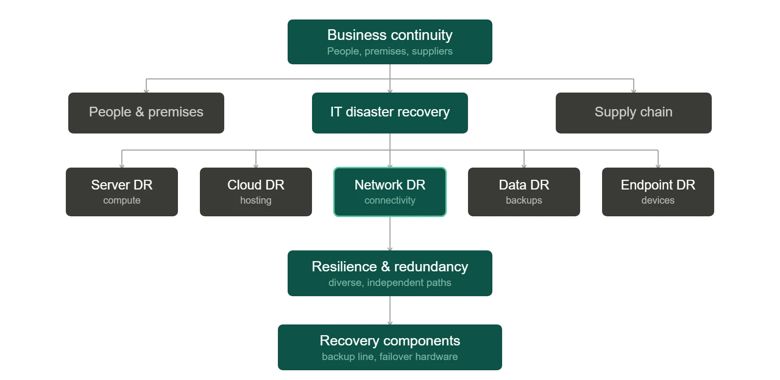 Hierarchy diagram showing where network disaster recovery sits within a business continuity strategy, from business continuity down through IT disaster recovery, network DR, resilience and redundancy, and recovery components.